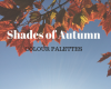 Autumn Colour Palettes